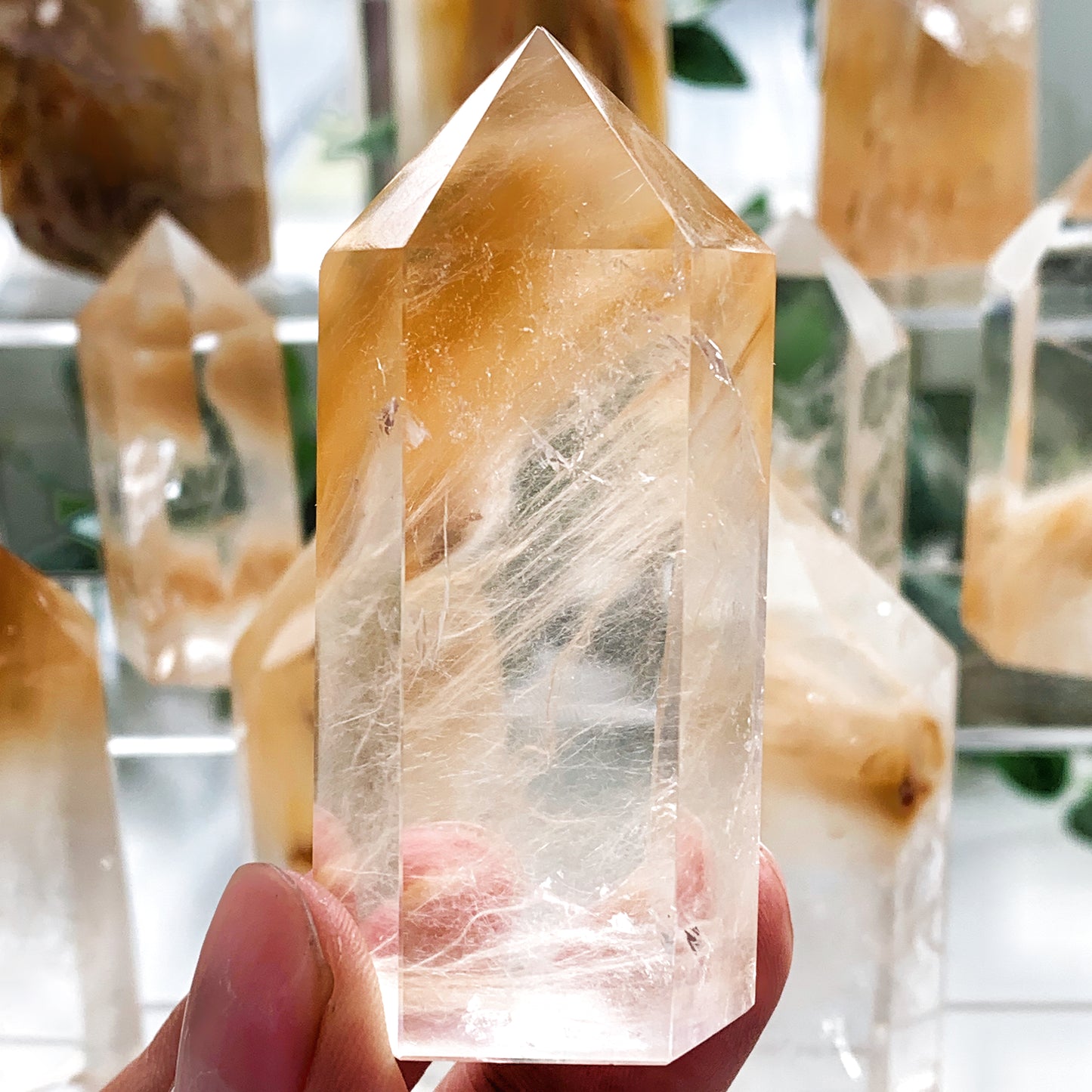 Amphibole